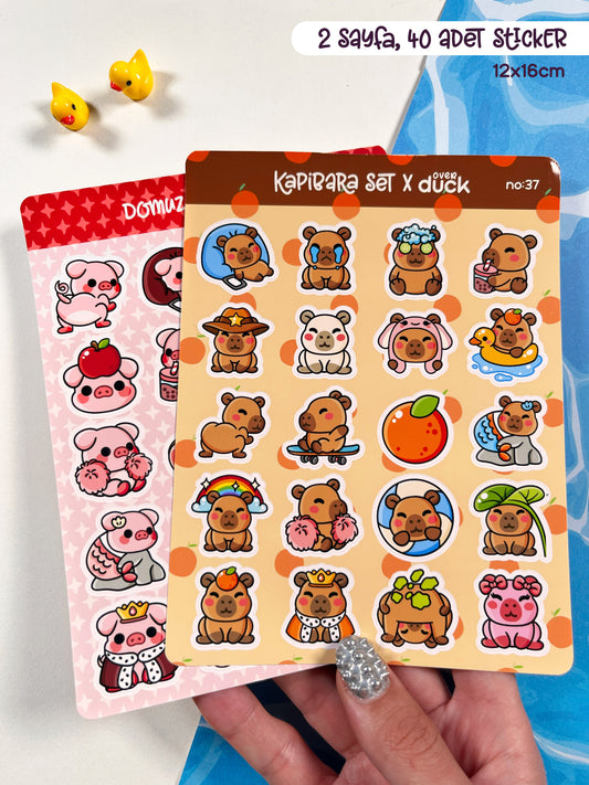 2’li Hayvan Sticker Seti – 40 Adet Kapibara ve Domuz Sticker Bullet Journal & Scrapbook