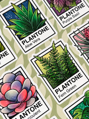 Plantone Bitki Sticker Seti – 2 Sayfa 18 Adet Bullet Journal & Scrapbook Dekoratif Bitki Etiket